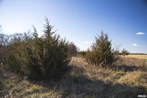000 Williams Creek Rd, Augusta, IL 62311 photo 52