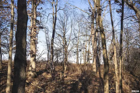 000 Williams Creek Rd, Augusta, IL 62311 photo 46