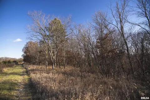 000 Williams Creek Rd, Augusta, IL 62311 photo 49