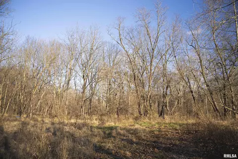 000 Williams Creek Rd, Augusta, IL 62311 photo 60