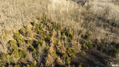 000 Williams Creek Rd, Augusta, IL 62311 photo 29