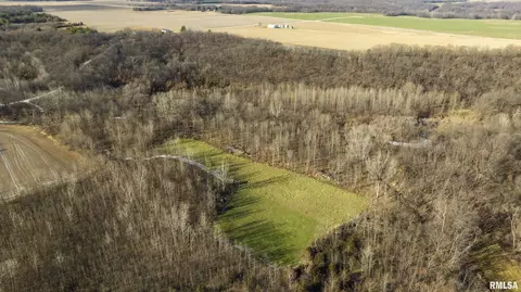 000 Williams Creek Rd, Augusta, IL 62311 photo 20