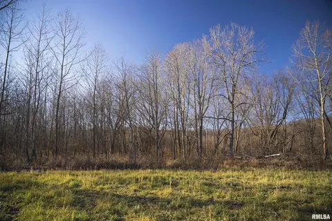 000 Williams Creek Rd, Augusta, IL 62311 photo 41
