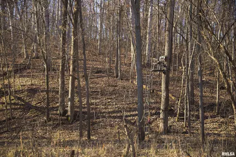 000 Williams Creek Rd, Augusta, IL 62311 photo 45