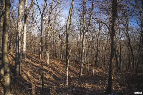 000 Williams Creek Rd, Augusta, IL 62311 photo 54