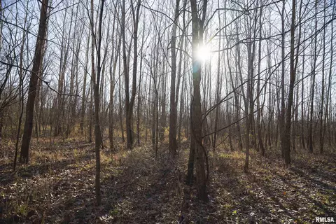 000 Williams Creek Rd, Augusta, IL 62311 photo 61