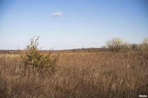 000 Williams Creek Rd, Augusta, IL 62311 photo 50