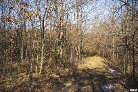 000 Williams Creek Rd, Augusta, IL 62311 photo 57