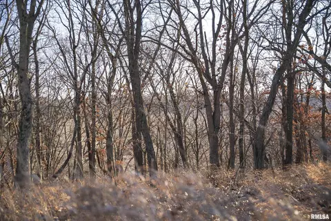 000 Williams Creek Rd, Augusta, IL 62311 photo 53