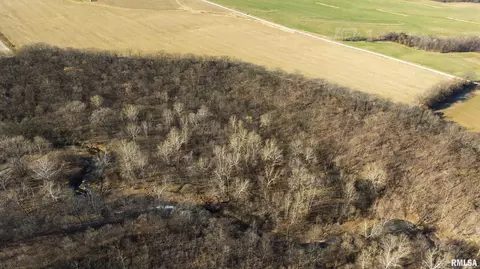 000 Williams Creek Rd, Augusta, IL 62311 photo 30