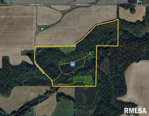 000 Williams Creek Rd, Augusta, IL 62311 photo 65