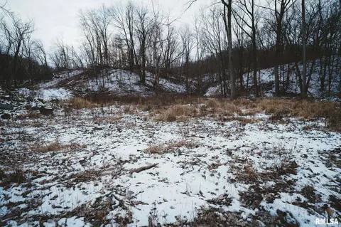 9669 Thunderhead Rd, Illinois City, IL 61259