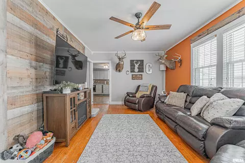 Living - 1004 S Elm St, Delavan, IL 61734 photo 1 of 2
