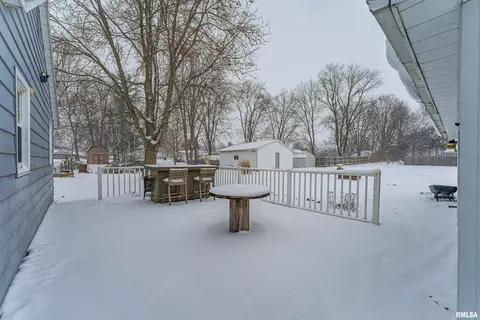 Exterior - 1004 S Elm St, Delavan, IL 61734 photo 5 of 6