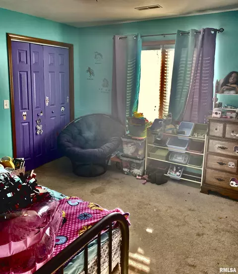 2506 Hampton, Chatham, IL 62629 photo 19