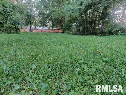 564 W Elliott Ave, Springfield, IL 62702 photo 10