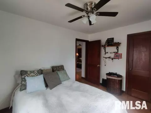 564 W Elliott Ave, Springfield, IL 62702 photo 5