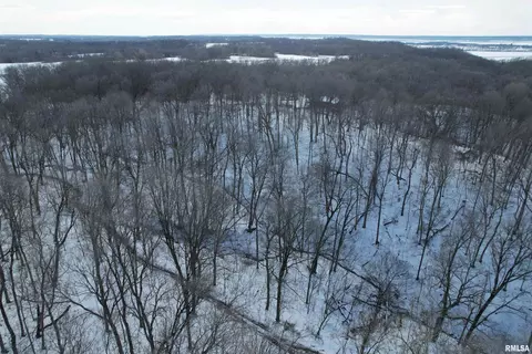 View/Area - 1480 State Route 100 Hwy, Bluffs, IL 62621 photo 3 of 4