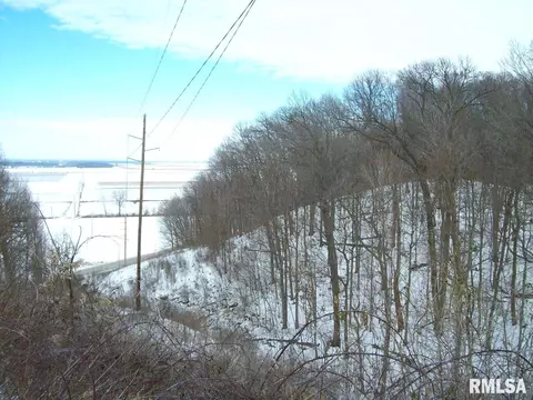 View/Area - 1480 State Route 100 Hwy, Bluffs, IL 62621 photo 2 of 4