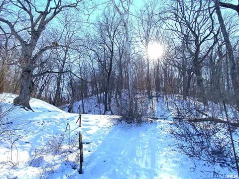 Other - 1480 State Route 100 Hwy, Bluffs, IL 62621 photo 27 of 41