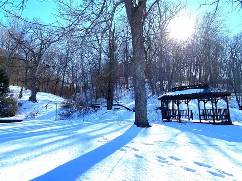 Other - 1480 State Route 100 Hwy, Bluffs, IL 62621 photo 4 of 41
