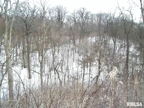 View/Area - 1480 State Route 100 Hwy, Bluffs, IL 62621 photo 4 of 4