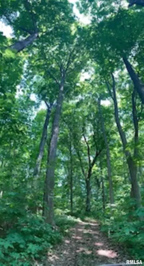 Other - 1480 State Route 100 Hwy, Bluffs, IL 62621 photo 33 of 41