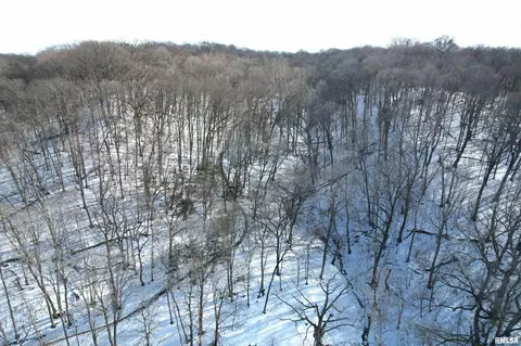 Other - 1480 State Route 100 Hwy, Bluffs, IL 62621 photo 30 of 41
