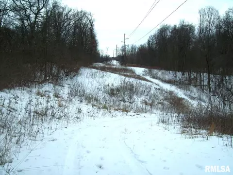 Other - 1480 State Route 100 Hwy, Bluffs, IL 62621 photo 31 of 41