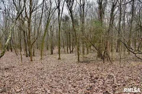 Other - 28 E Hamletsburg Rd, Brookport, IL 62910 photo 19 of 37
