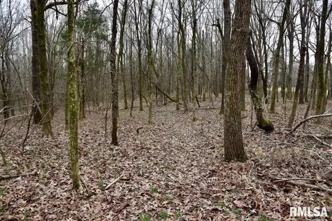 Other - 28 E Hamletsburg Rd, Brookport, IL 62910 photo 24 of 37