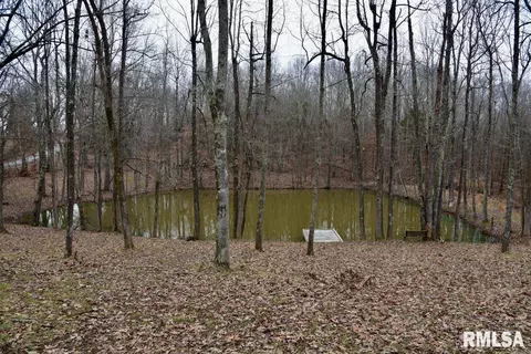 View/Area - 28 E Hamletsburg Rd, Brookport, IL 62910 photo 6 of 10