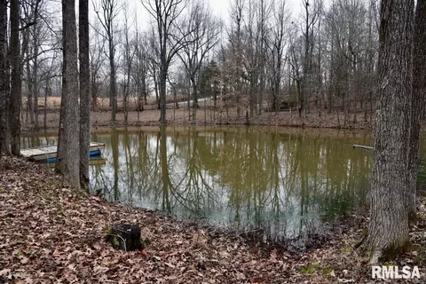 View/Area - 28 E Hamletsburg Rd, Brookport, IL 62910 photo 8 of 10