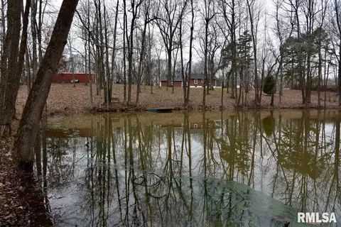View/Area - 28 E Hamletsburg Rd, Brookport, IL 62910 photo 9 of 10