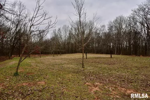 Exterior - 28 E Hamletsburg Rd, Brookport, IL 62910 photo 7 of 9