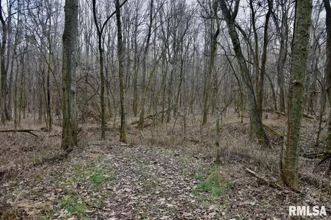 Other - 28 E Hamletsburg Rd, Brookport, IL 62910 photo 34 of 37