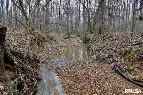 Other - 28 E Hamletsburg Rd, Brookport, IL 62910 photo 30 of 37