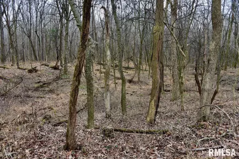 Other - 28 E Hamletsburg Rd, Brookport, IL 62910 photo 28 of 37