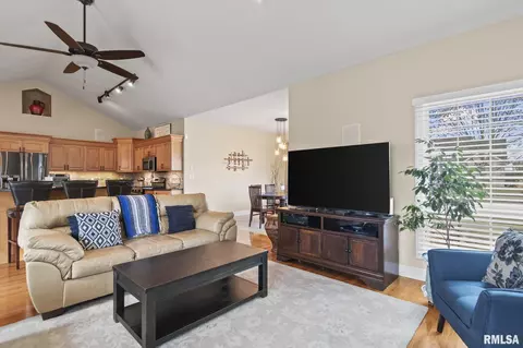 Living - 237 Manor Hill Dr, Chatham, IL 62629 photo 6 of 6