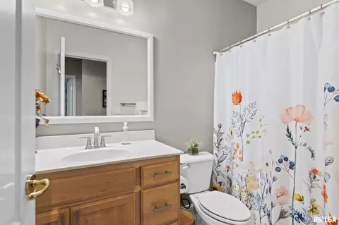 Bath - 237 Manor Hill Dr, Chatham, IL 62629 photo 3 of 5