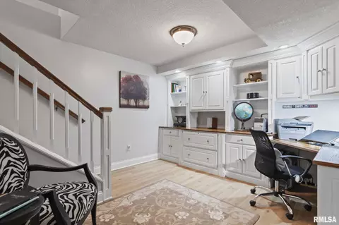 Other - 237 Manor Hill Dr, Chatham, IL 62629 photo 6 of 21