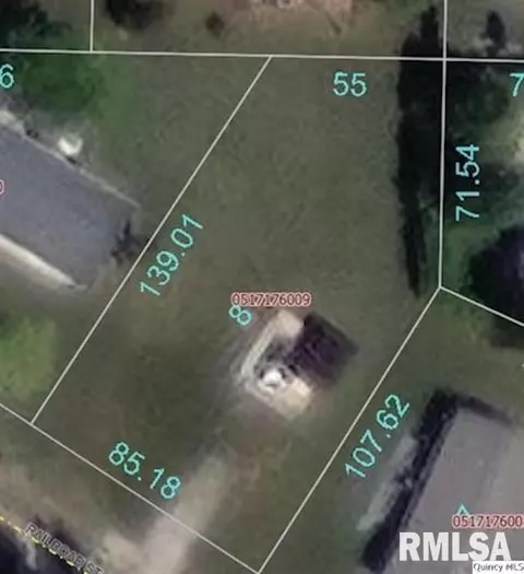 317 Railroad Ave, Mount Sterling, IL 62353