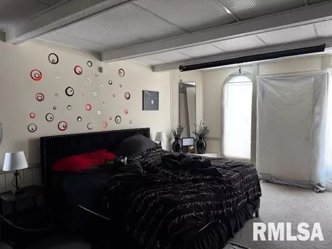 430 W Elliott Ave, Springfield, IL 62702 photo 19