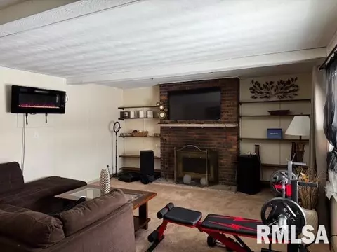 430 W Elliott Ave, Springfield, IL 62702 photo 11