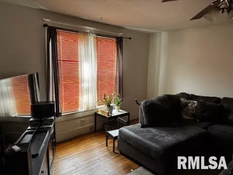 430 W Elliott Ave, Springfield, IL 62702 photo 5