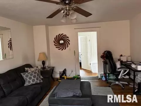 430 W Elliott Ave, Springfield, IL 62702 photo 6