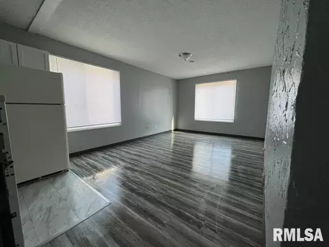 619 S Walnut St, Springfield, IL 62704 photo 6