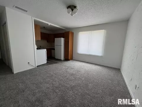 619 S Walnut St, Springfield, IL 62704 photo 16
