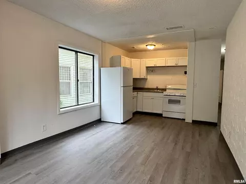 619 S Walnut St, Springfield, IL 62704 photo 2