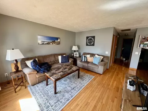 3001 Shadowfax Dr, Springfield, IL 62707 photo 4